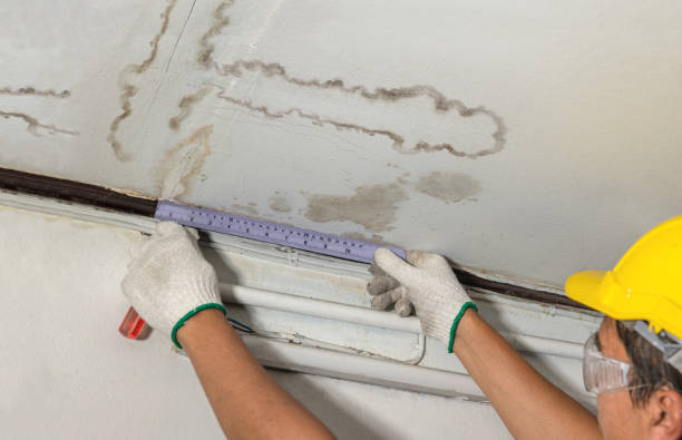 Reliable Sewage Cleanup contractor in New Lothrop, MI by Aqua Guard Water Damage